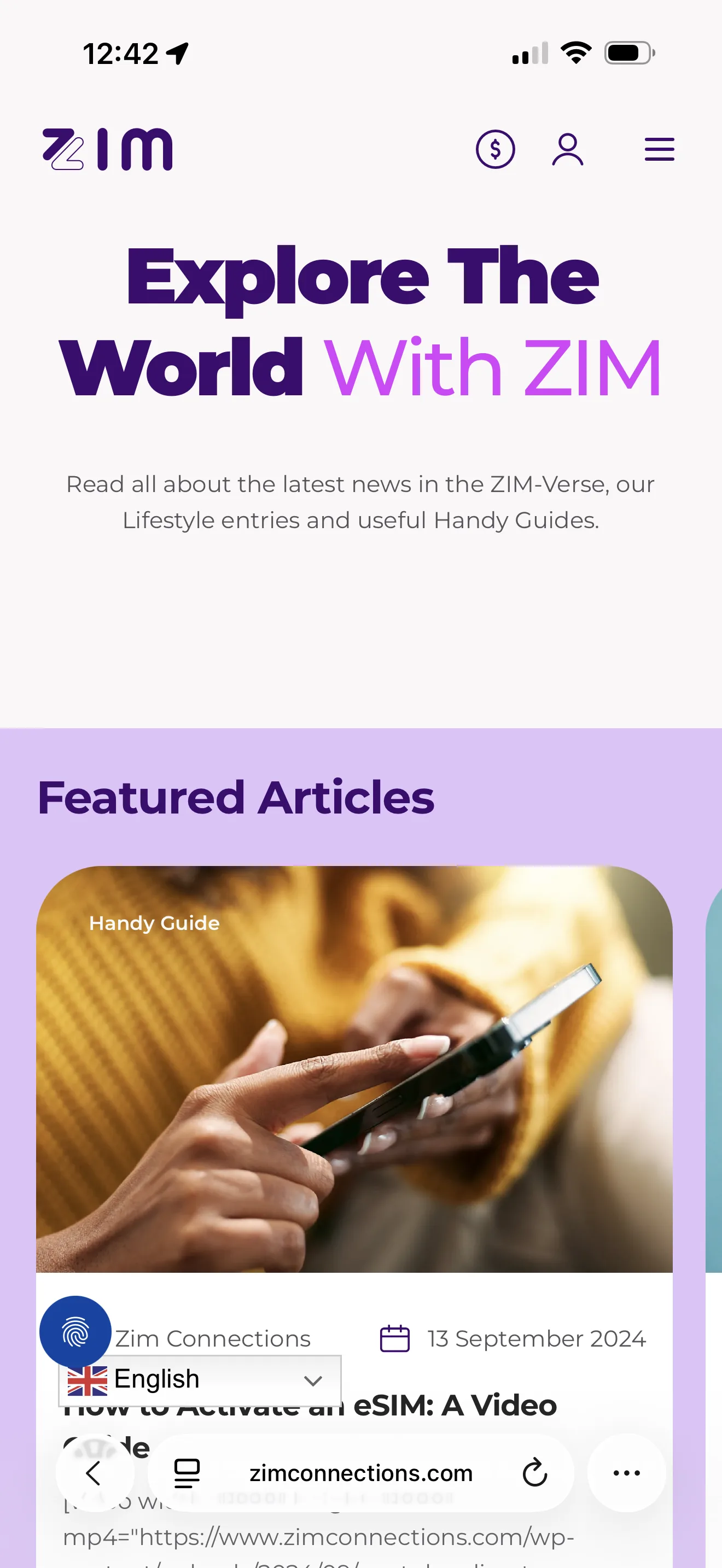 ZIM — Blog